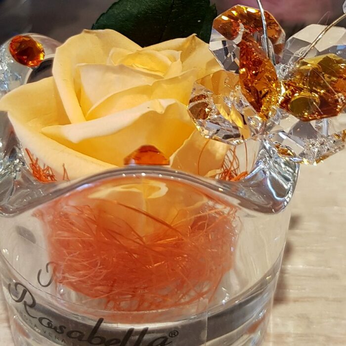 rosabella-qwzt6x9j93fa54kltkl1ujlugbmgk2j6mifkvbsjc0